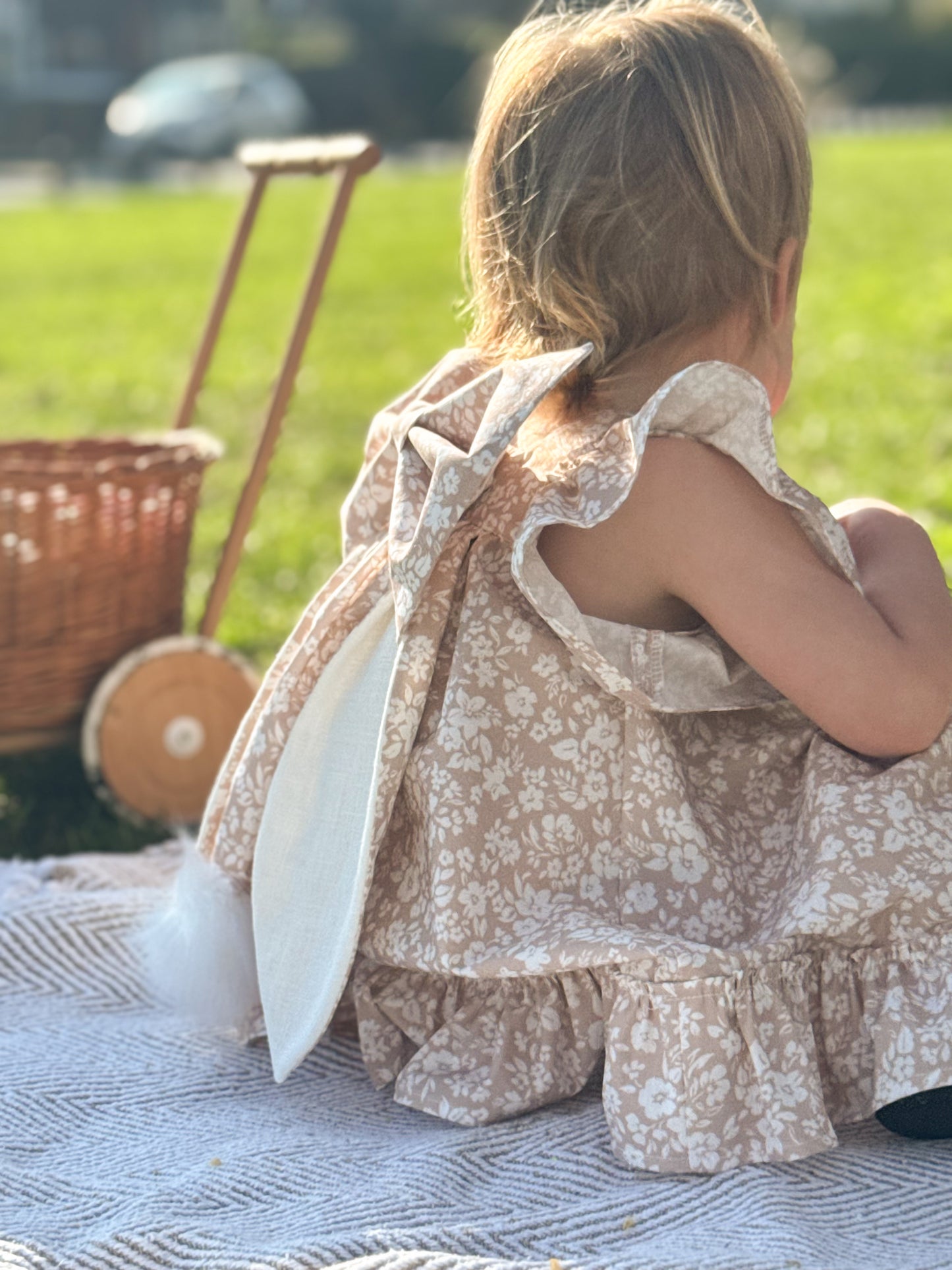 Bunny Darcie Dress - Pink