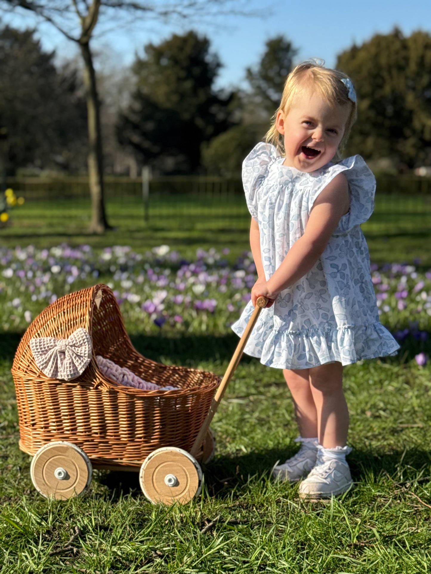 Bunny Darcie Dress - Blue