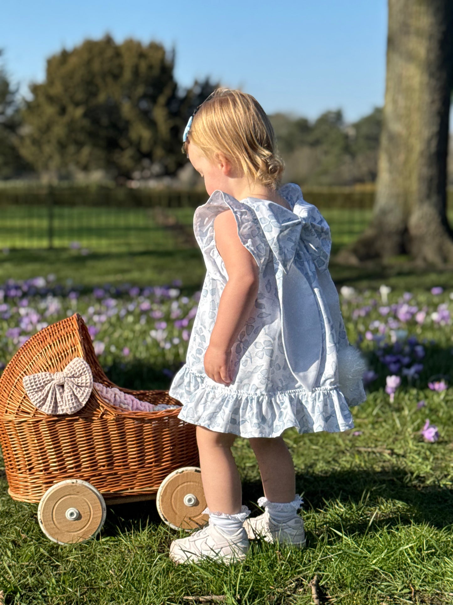 Bunny Darcie Dress - Blue