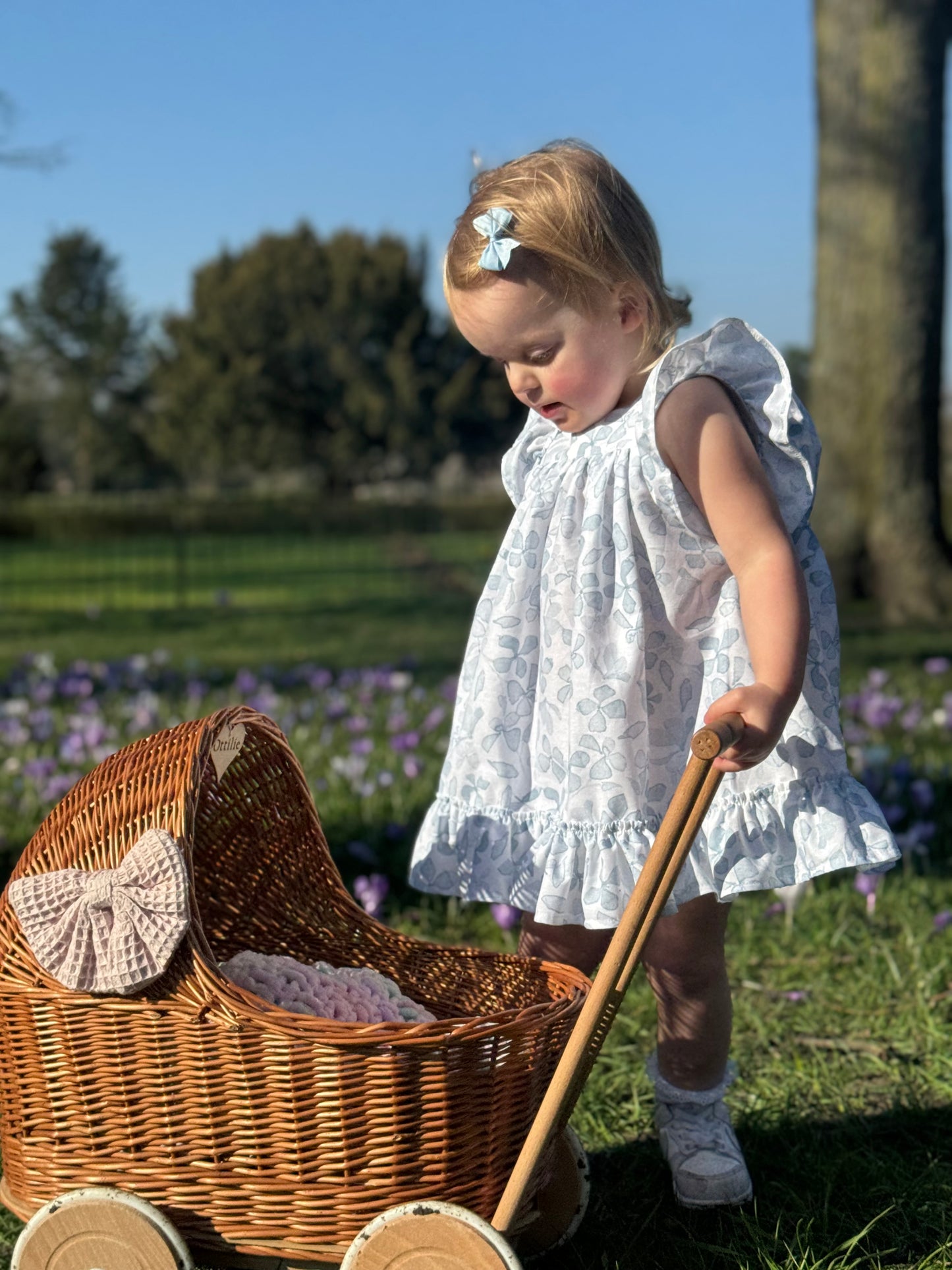 Bunny Darcie Dress - Blue